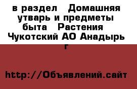  в раздел : Домашняя утварь и предметы быта » Растения . Чукотский АО,Анадырь г.